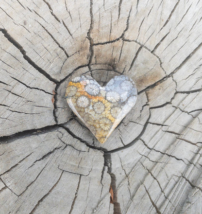Fossil Coral | Love Note Collection Hearts Pendant Necklace SHINE