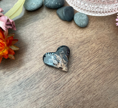 Petrified Palm Wood | Love Note Collection Heart