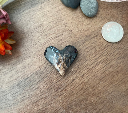Petrified Palm Wood | Love Note Collection Heart