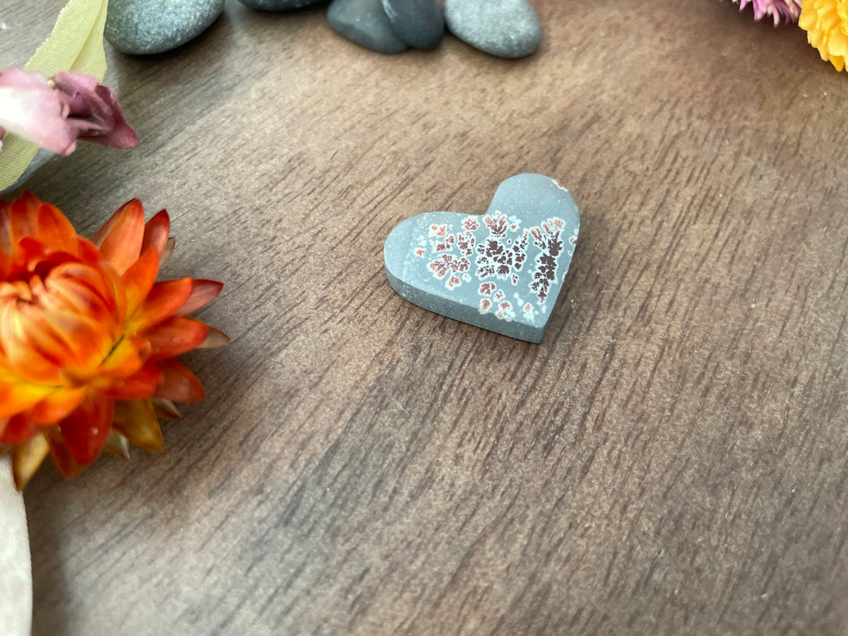 Sonoran Dendritic Rhyolite | Love Note Collection Heart
