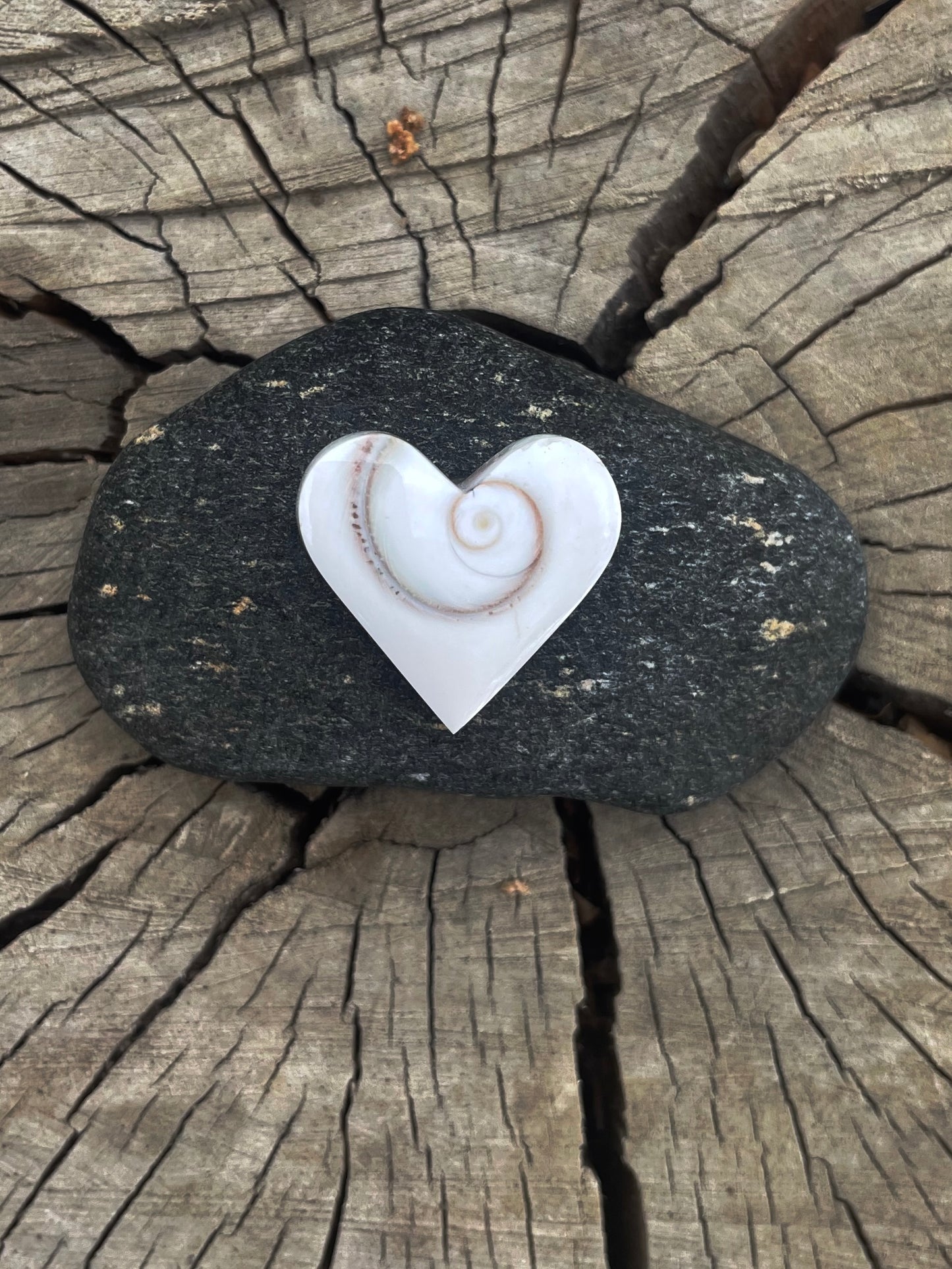 Shiva Shell | Love Note Collection Hearts Pendant Necklace TRUST