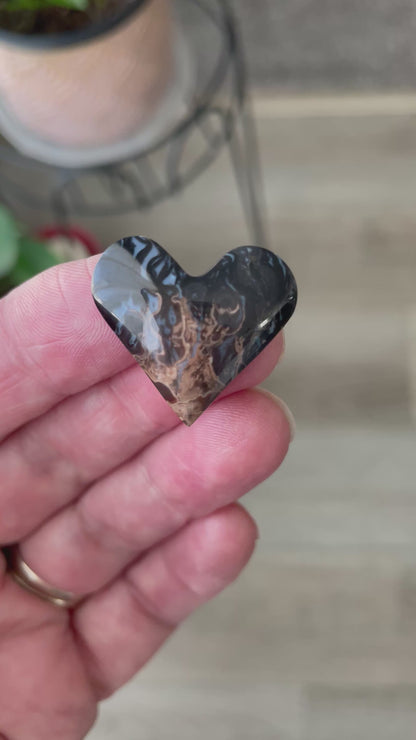 Petrified Palm Wood | Love Note Collection Heart